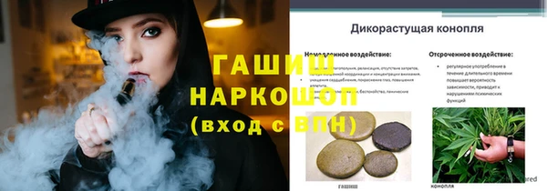 сатива Нея