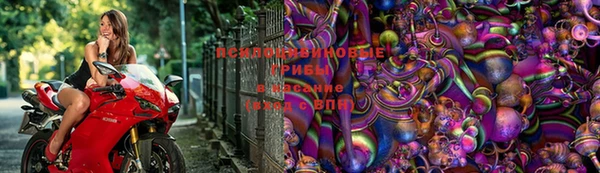 сатива Нея