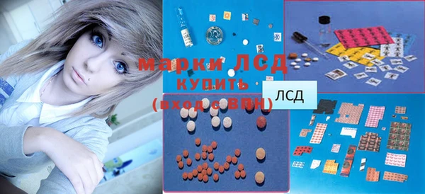 альфа пвп Новодвинск